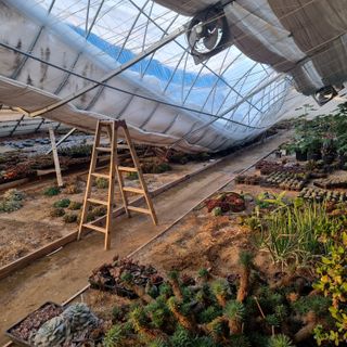 안재환 님의 자유주제 · 자유게시판 작성글 사진