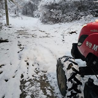 백용기님의 자유주제 · 자유게시판 작성글 사진