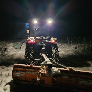 백용기님의 자유주제 · 자유게시판 작성글 사진