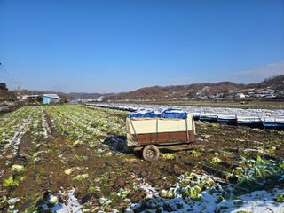 권오관님의 자유주제 · 자유게시판 작성글 사진