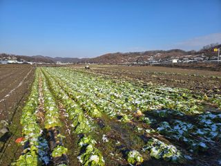권오관님의 자유주제 · 자유게시판 작성글 사진
