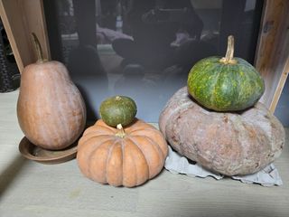 권오관님의 자유주제 · 자유게시판 작성글 사진