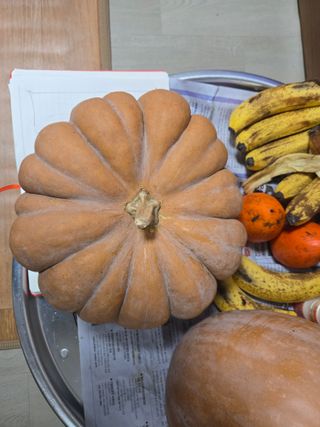 권오관님의 자유주제 · 자유게시판 작성글 사진