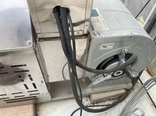 그린애농장님의 작성글 사진