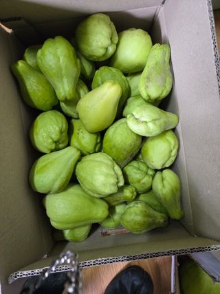 김성부 님의 작성글 사진