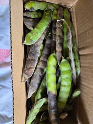 김성부 님의 작성글 사진