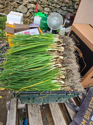 김성부 님의 작성글 사진