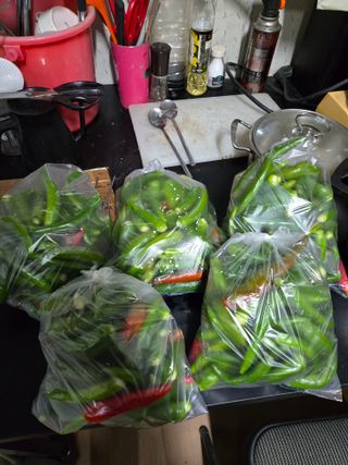 김성부 님의 작성글 사진