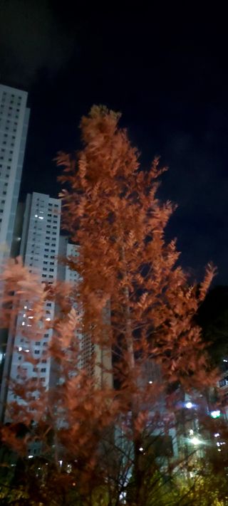 안재성님의 자유주제 · 사진전 작성글 사진