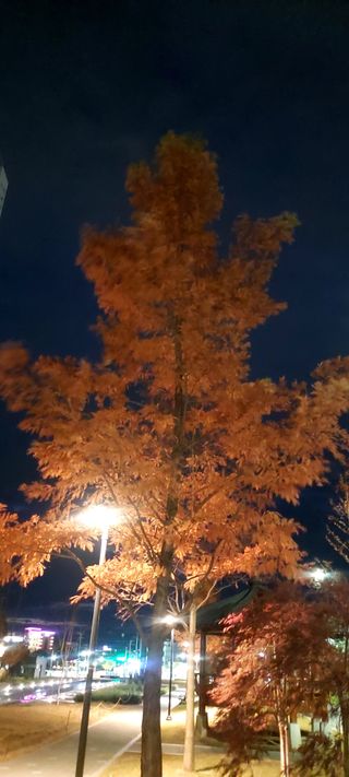 안재성님의 자유주제 · 사진전 작성글 사진