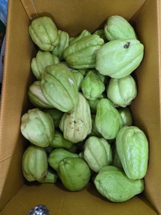 김성부 님의 자유주제 · 자유게시판 작성글 사진