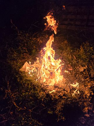 김성부 님의 자유주제 · 자유게시판 작성글 사진