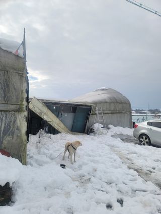 정정근님의 자유주제 · 자유게시판 작성글 사진