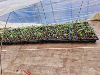 최근학님의 자유주제 · 자유게시판 작성글 사진