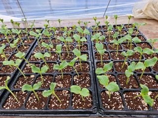 최근학님의 자유주제 · 자유게시판 작성글 사진