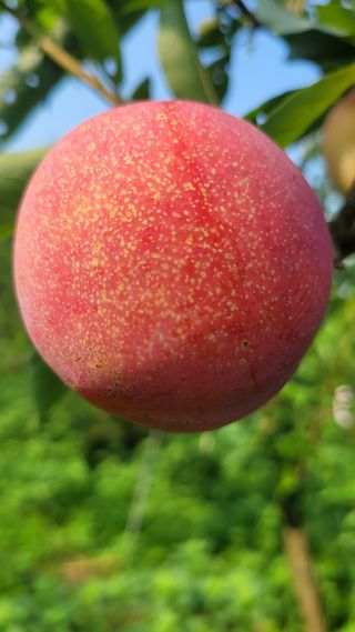 이원희님의 작성글 사진