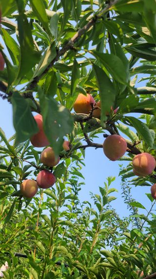 이원희님의 작성글 사진