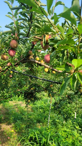 이원희님의 작성글 사진
