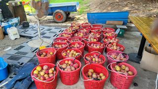 이원희님의 작성글 사진