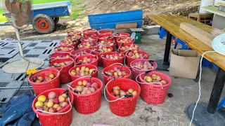 이원희님의 작성글 사진