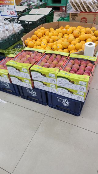 이원희님의 작성글 사진