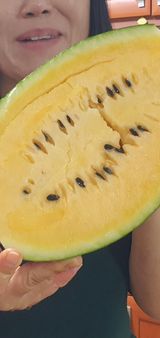 팜모닝 자유주제·자유게시판 게시글 이미지