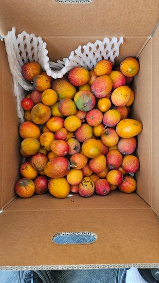 haluko님의 기타작물 · 영농일지 작성글 사진