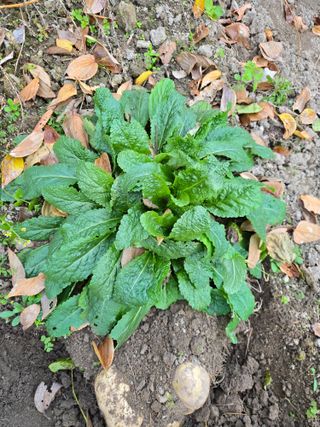 김성부 님의 자유주제 · 자유게시판 작성글 사진