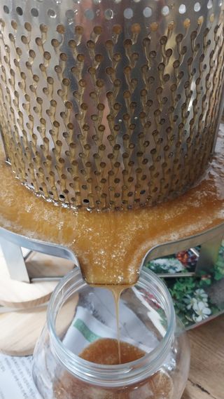 오석한님의 자유주제 · 자유게시판 작성글 사진