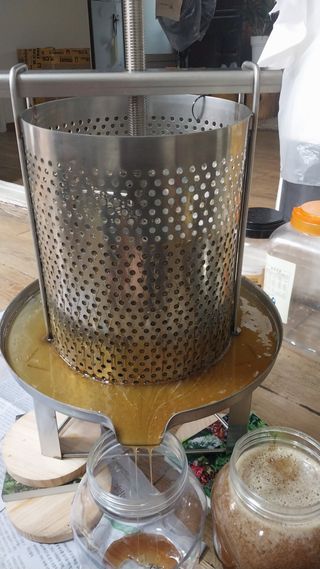 오석한님의 자유주제 · 자유게시판 작성글 사진