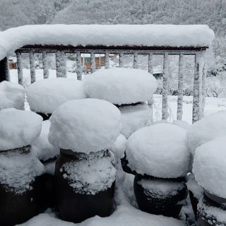 홍순원님의 농한기 휴식 계획 공유하기 · 참여글 작성글 사진