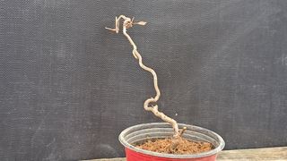 이정운님의 자유주제 · 자유게시판 작성글 사진