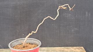 이정운님의 자유주제 · 자유게시판 작성글 사진