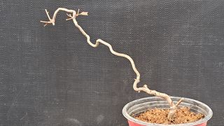 이정운님의 자유주제 · 자유게시판 작성글 사진