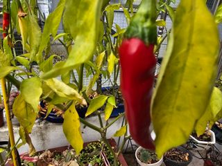 왕개미님의 자유주제 · 자유게시판 작성글 사진