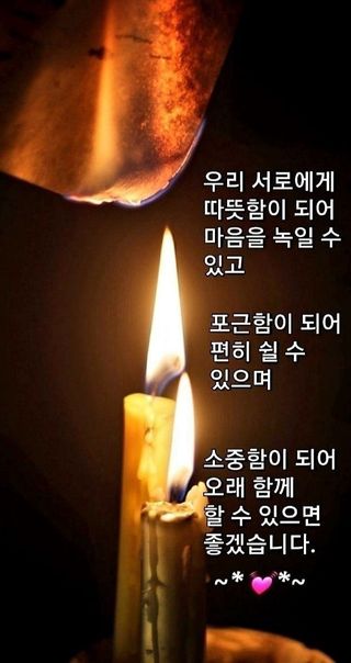 원영님의 산삼을 갑자기 발견하게 된다면? · 참여글 작성글 사진