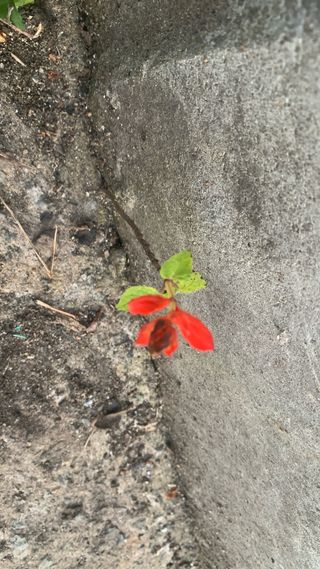 조용욱 용강농원님의 자유주제 · 사진전 작성글 사진