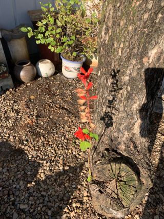 조용욱 용강농원님의 자유주제 · 사진전 작성글 사진