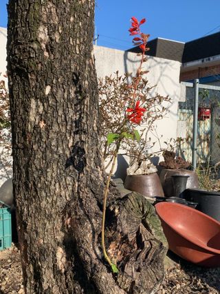 조용욱 용강농원님의 자유주제 · 사진전 작성글 사진