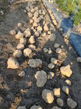 팜모닝 감자·영농일지 게시글 이미지