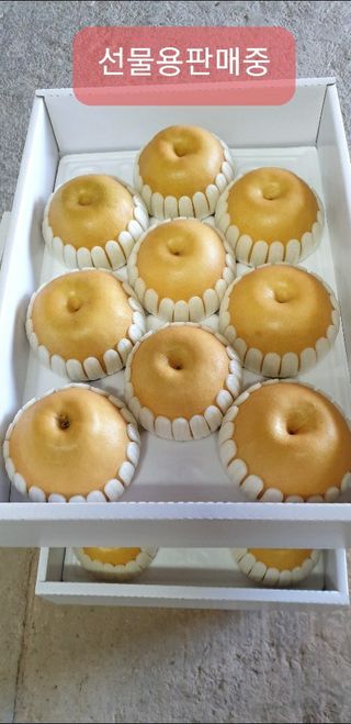 퍼피과수원님의 산삼을 갑자기 발견하게 된다면? · 참여글 작성글 사진