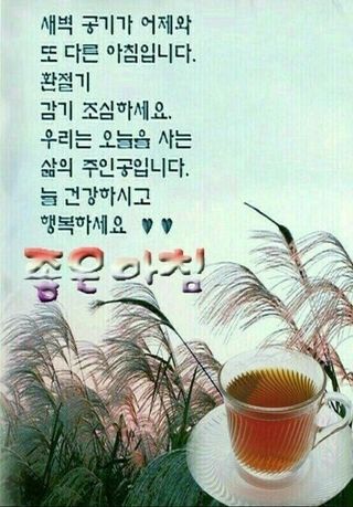 knlee님의 산삼을 갑자기 발견하게 된다면? · 참여글 작성글 사진