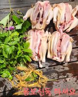 팜모닝 산삼을 갑자기 발견하게 된다면?·참여글 게시글 이미지