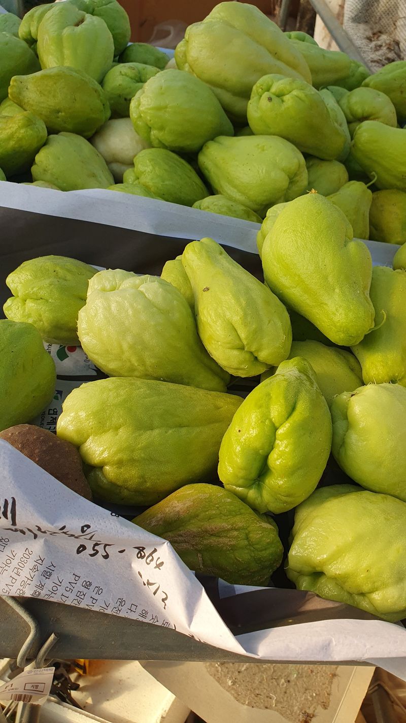 장터 상품 [차요태 40kg, 열매마 15kg (판매완료)] 썸네일