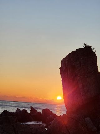 황철환님의 산삼을 갑자기 발견하게 된다면? · 참여글 작성글 사진