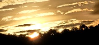 충주시산척면우성호님의 산삼을 갑자기 발견하게 된다면? · 참여글 작성글 사진