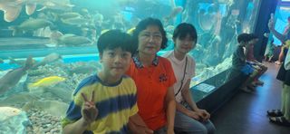 충주시산척면우성호님의 산삼을 갑자기 발견하게 된다면? · 참여글 작성글 사진