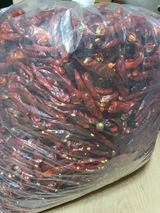 팜모닝 자유주제·자유게시판 게시글 이미지