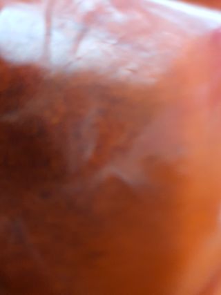 실로암농원님의 자유주제 · 자유게시판 작성글 사진