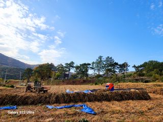 공실이님의 콩 · 영농일지 작성글 사진